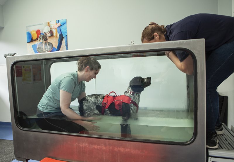 Physiotherapy & Hydrotherapy