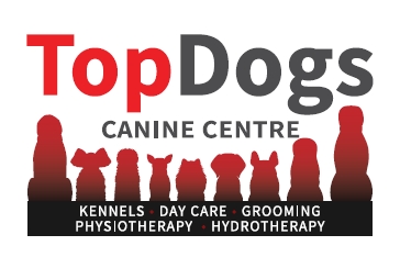 Top Dogs